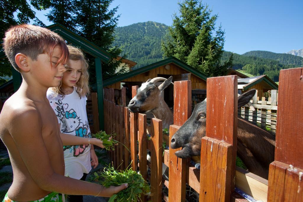 Familiengaestehaus Ingrid Sankt Martin am Tennengebirge Dış mekan fotoğraf